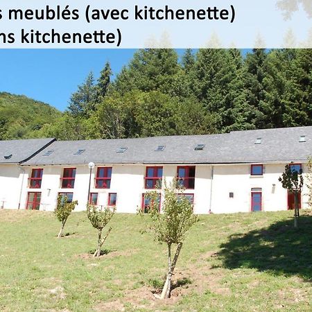 Gite Du Haut Cantal - Appartements Meubles Avec Kitchenette Et Chambres Sans Kitchenette Condat (Cantal) Exterior photo