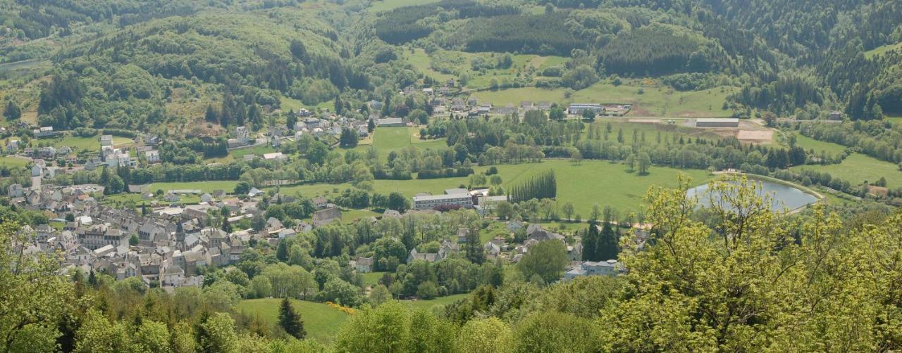 Gite Du Haut Cantal - Appartements Meubles Avec Kitchenette Et Chambres Sans Kitchenette Condat (Cantal) Exterior photo