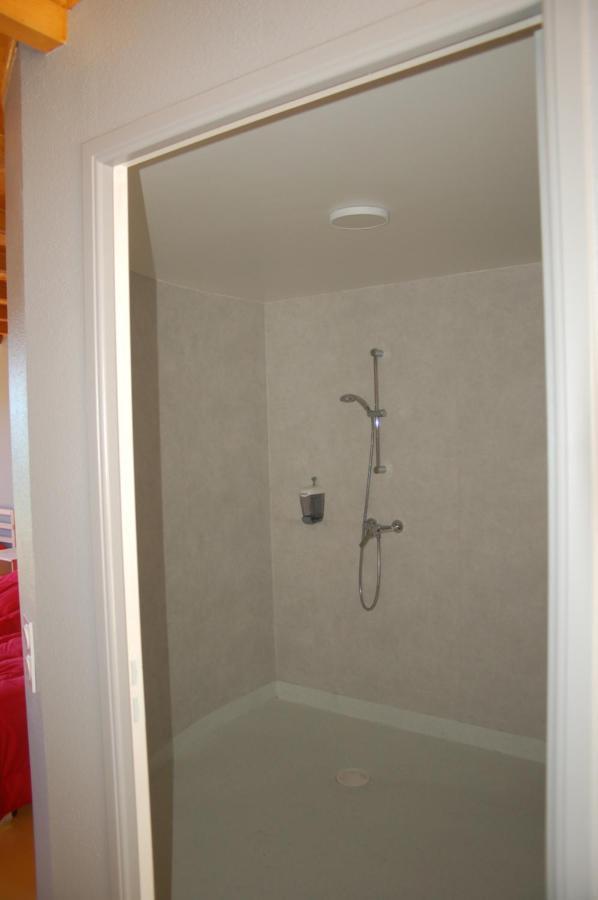Gite Du Haut Cantal - Appartements Meubles Avec Kitchenette Et Chambres Sans Kitchenette Condat (Cantal) Exterior photo