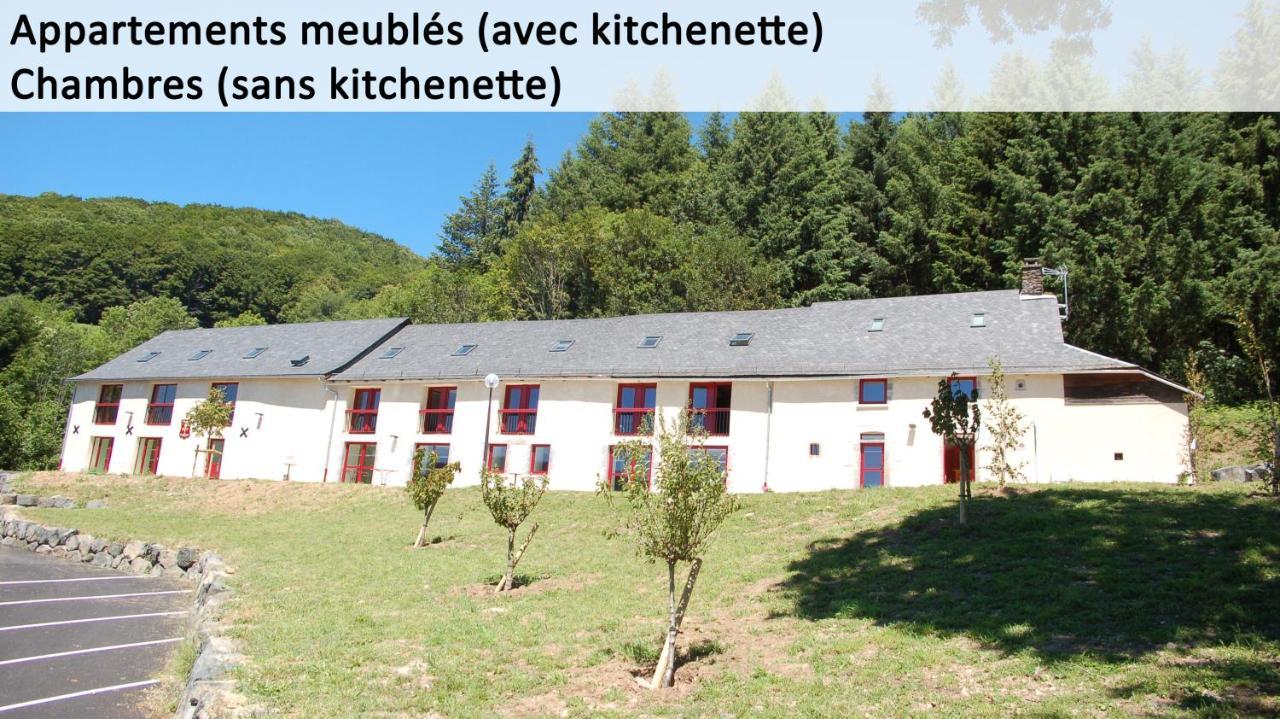 Gite Du Haut Cantal - Appartements Meubles Avec Kitchenette Et Chambres Sans Kitchenette Condat (Cantal) Exterior photo